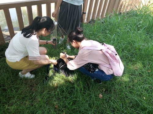 7月10日 bl韩漫
 赴嘉兴“青水”小分队实地考察并采样3