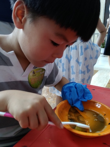 七月十号 bl韩漫
 B.D.服务社赴浙江自然博物馆”环保小课堂“小分队 刷刷刷，看我认真的刷叶子
