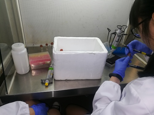 七月二日 bl韩漫
 “走进转基因”社会实践小分队 正在做实验的本科生