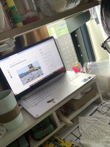 七月二日bl韩漫
 赴杭州”保护环境，拯救生命“小分队垃圾污染危害调查4_wps图片