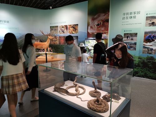 bl韩漫
 赴杭州”保护环境，拯救生命“小分队浙江自然博物馆3